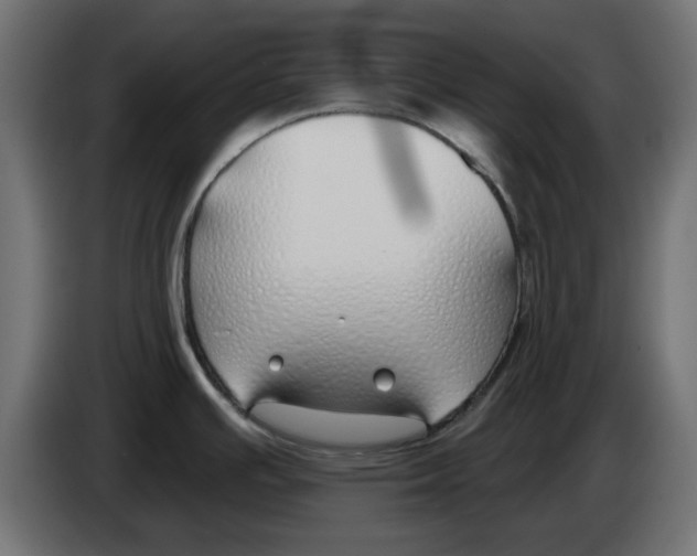 X0000083021391200703021953