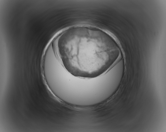 X0000083021392200703021953