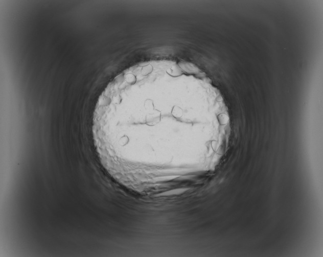 X0000083021393200703021952