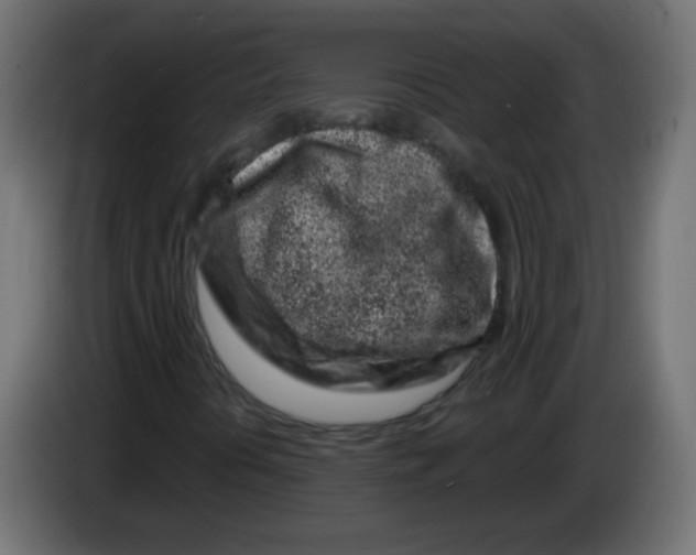 X0000083021394200703021952