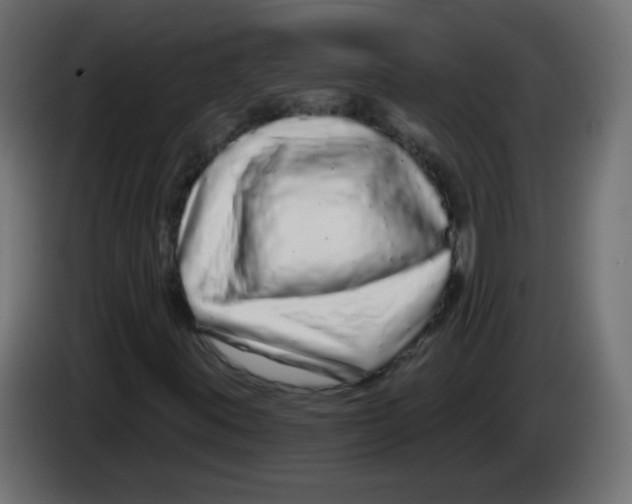X0000083021395200703021952