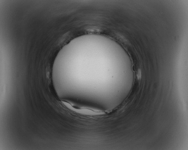 X0000083021396200703021952
