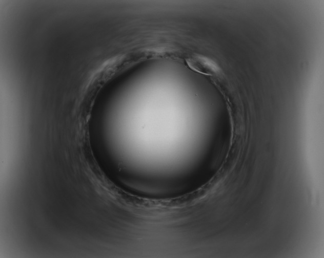 X0000083021398200703021952