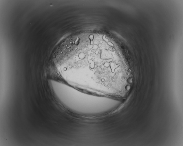 X0000083021401200703021952