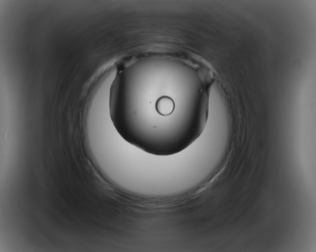 X0000083021402200703021952