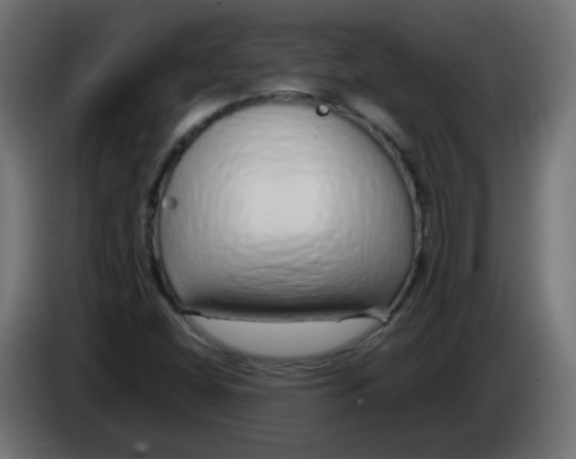 X0000083021404200703021952
