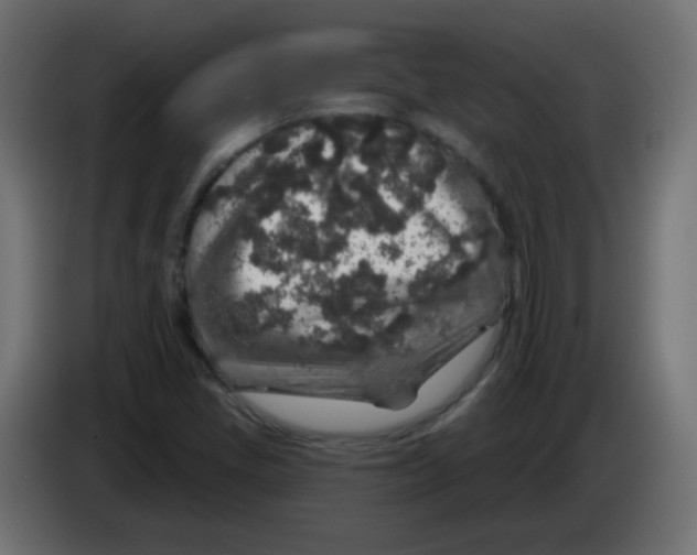 X0000083021405200703021952