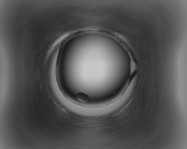 X0000083021406200703021952