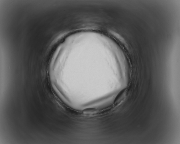 X0000083021407200703021952