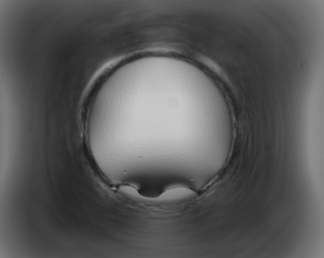 X0000083021408200703021952