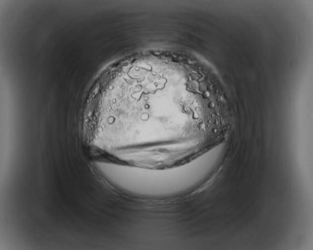X0000083021409200703021952