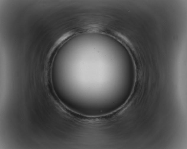X0000083021410200703021952