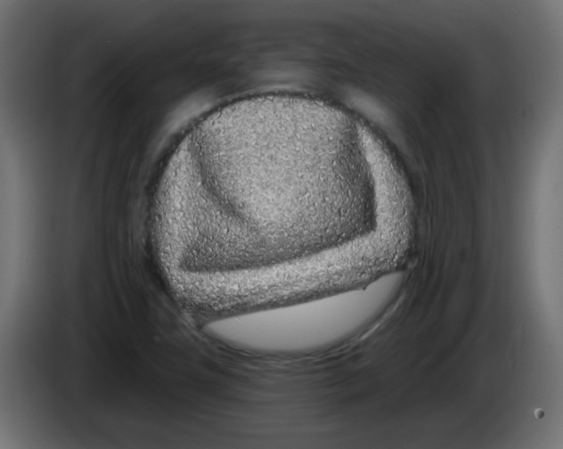 X0000083021411200703021952