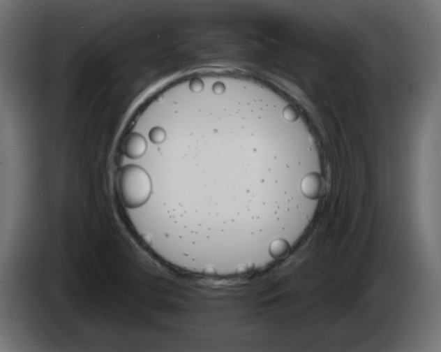 X0000083021412200703021952