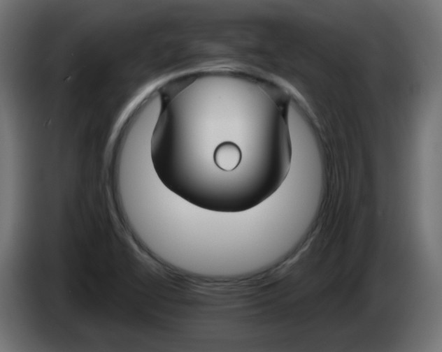 X0000083021414200703021952