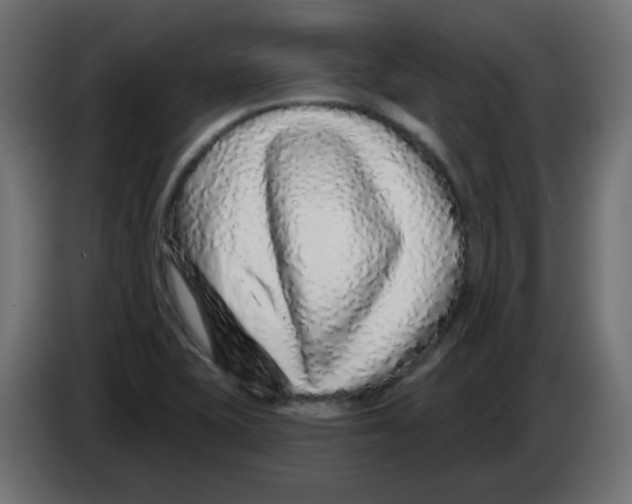 X0000083021415200703021952