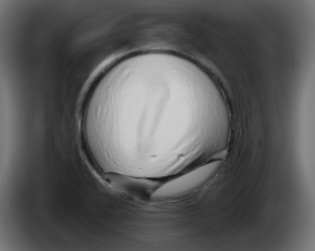 X0000083021416200703021952