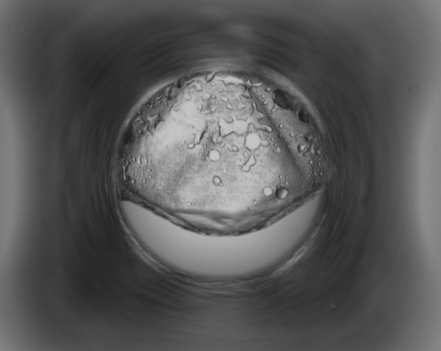 X0000083021417200703021952