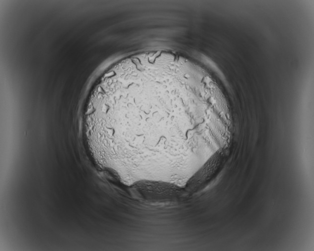 X0000083021419200703021952