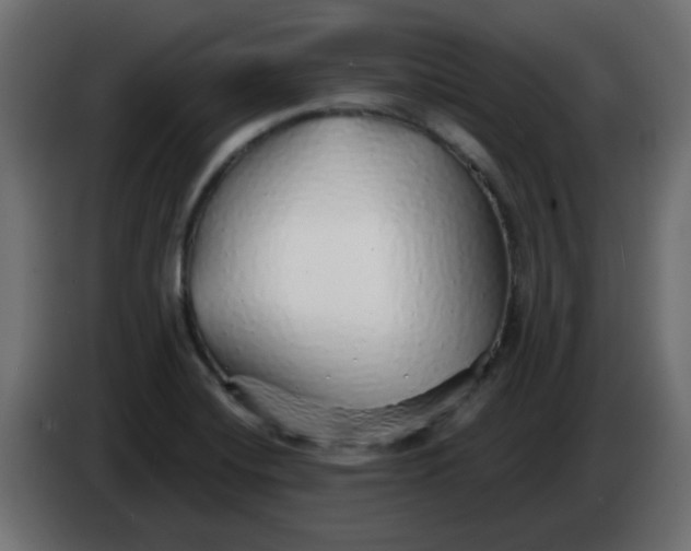 X0000083021420200703021952