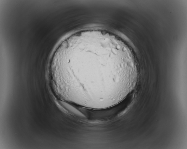 X0000083021421200703021952