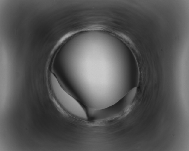 X0000083021422200703021953