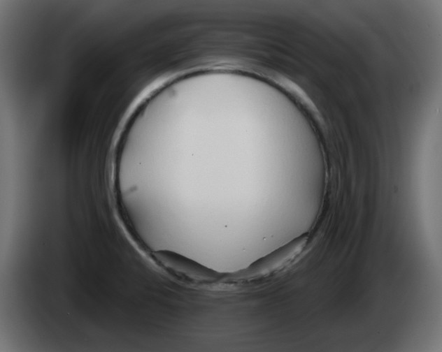 X0000083021424200703021953