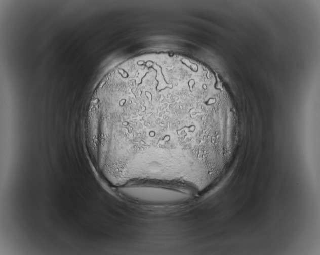 X0000083021425200703021953