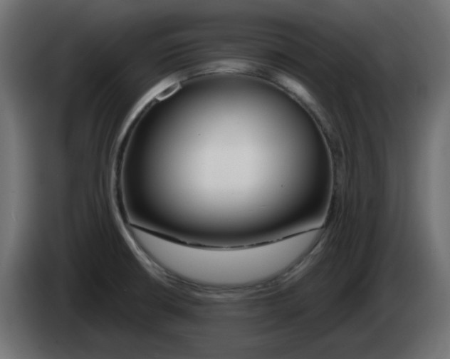 X0000083021426200703021953