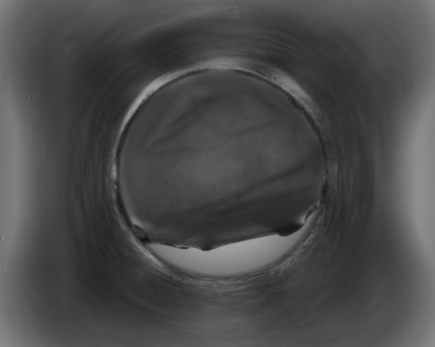 X0000083021428200703021953