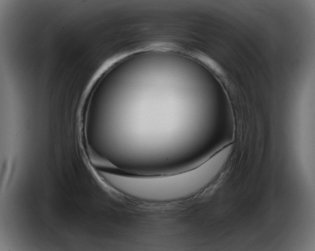 X0000083021430200703021953