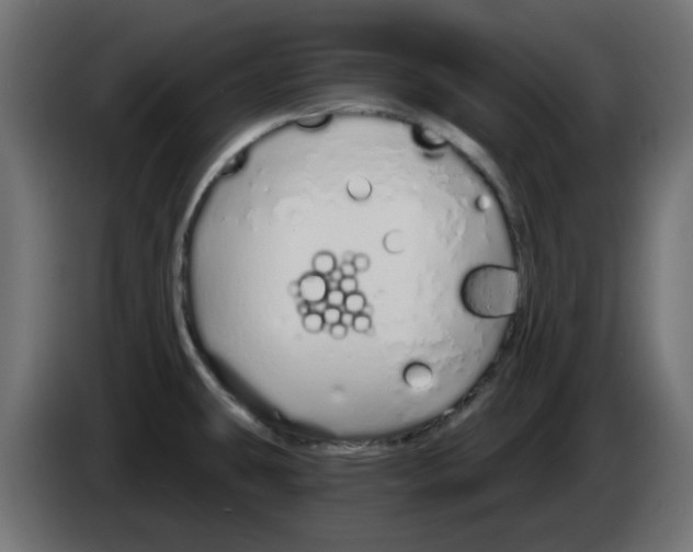 X0000083021431200703021953