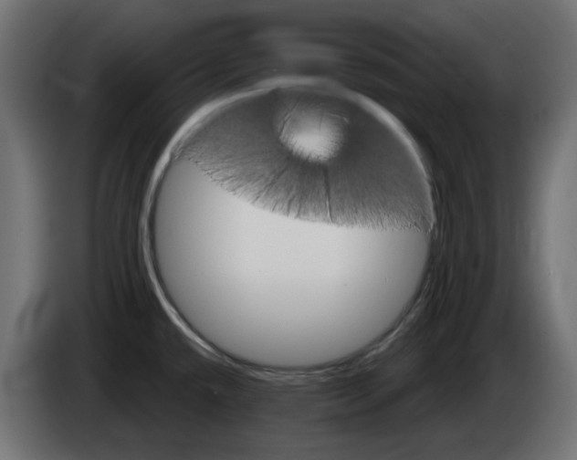 X0000083021432200703021953