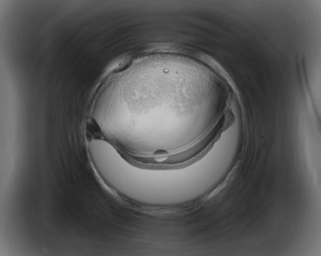 X0000083021433200703021953