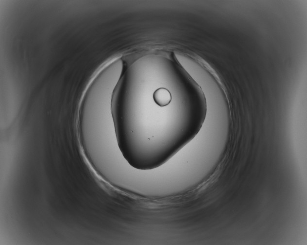 X0000083021434200703021953