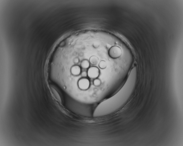 X0000083021435200703021953