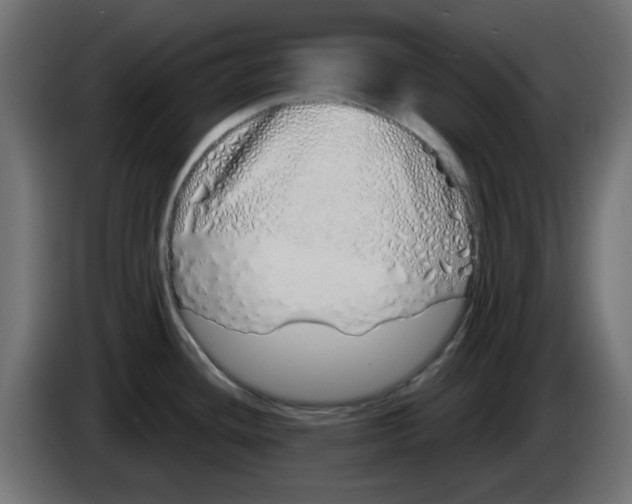 X0000083021436200703021953