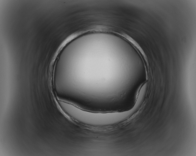 X0000083021437200703021953