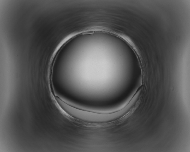 X0000083021438200703021953