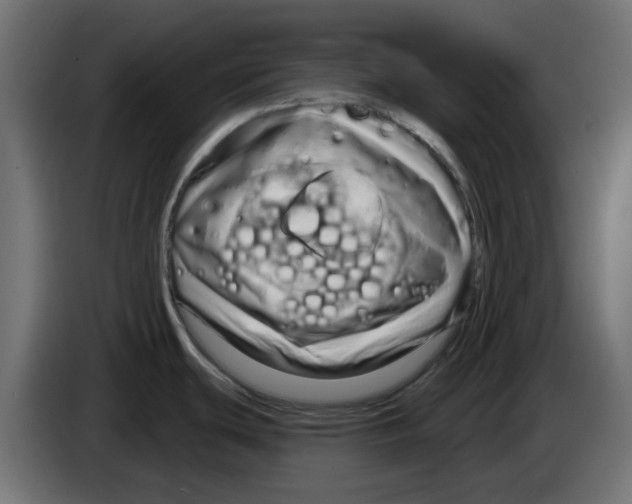 X0000083021439200703021953
