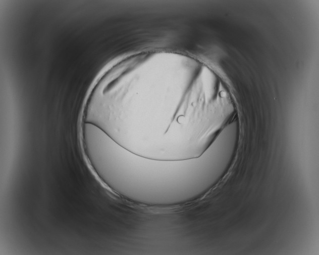 X0000083021440200703021953