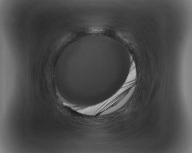X0000083021441200703021952