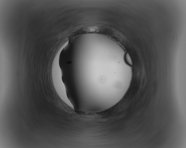X0000083021442200703021952
