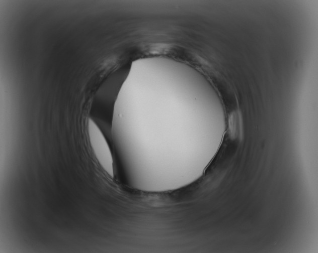 X0000083021443200703021952