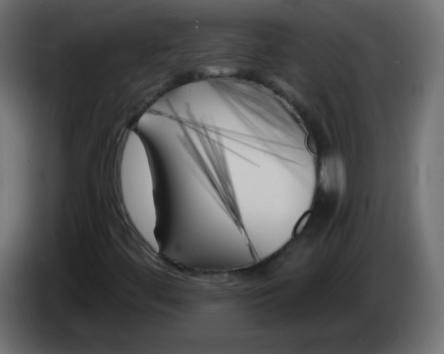 X0000083021444200703021952
