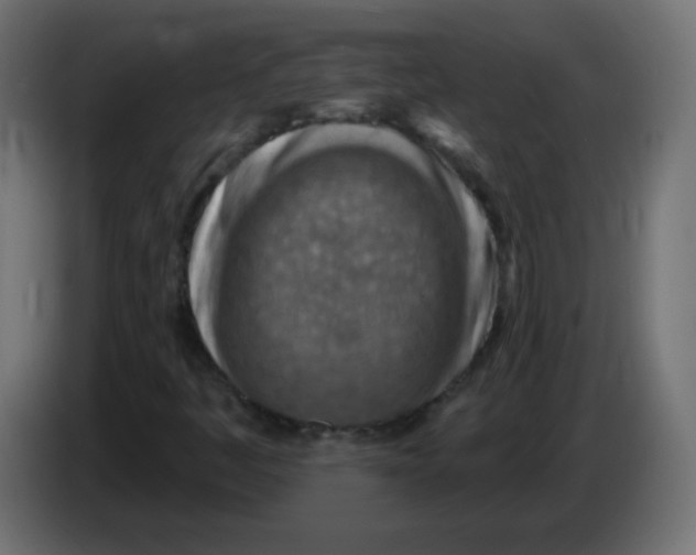 X0000083021445200703021952