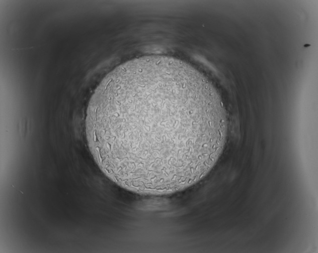 X0000083021446200703021952