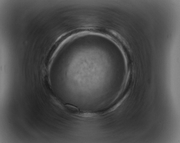 X0000083021449200703021952