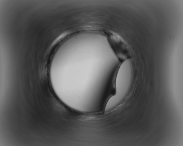 X0000083021450200703021952