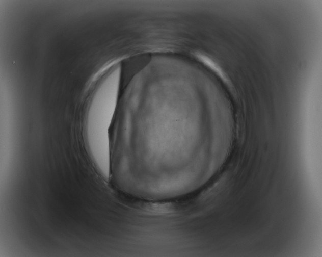 X0000083021453200703021952